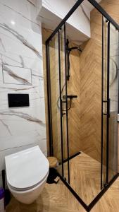 a bathroom with a toilet and a shower at Wolność in Elblag +11 photos