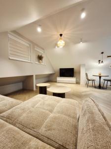 a living room with a bed and a table at VHausPlunge in Plungė