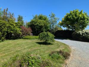 a small bush in the middle of a grass field at Hook Lighthouse Cottage in Ramsgrange