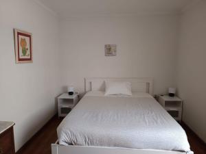 a bedroom with a white bed with two night stands at Casa da Piedade, Vouzela in Vouzela