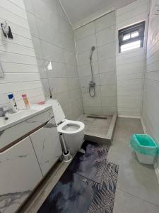 a bathroom with a toilet and a sink and a shower at Малинка in Cholpon-Ata +12 photos