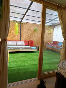 a view of a patio with a couch through a window at Cálido apartamento in Puno