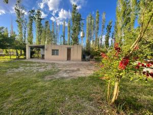 a small house in a field with a tree at Maju in Calingasta