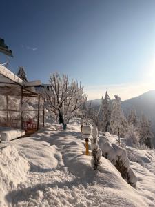Gallery image of The Wyld - Cabins by Dotlife in Banjār +19 photos