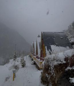 Gallery image of The Wyld - Cabins by Dotlife in Banjār