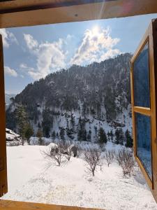 Gallery image of The Wyld - Cabins by Dotlife in Banjār