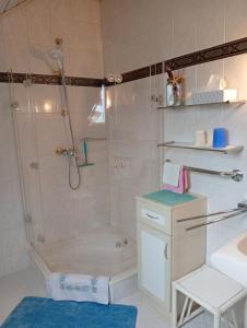 a bathroom with a shower and a sink at Ruhe geniessen bei Kulbes in Doberschütz +37 photos