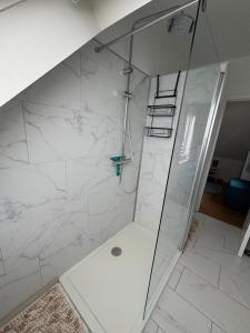 a bathroom with a shower with a glass door at Vacanzamare in Wenduine