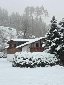 a house covered in snow next to a tree at Alte Ölmühle FeWo im EG "Rennsteig" im Herzen des Thüringer Waldes in Friedrichroda
