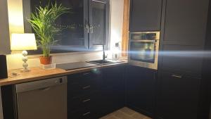 a kitchen with black cabinets and a plant on the counter at Ranczo pod dębami in Wola Smolana