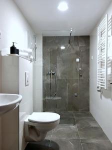 a bathroom with a shower and a toilet and a sink at Apartments & rooms Concept Nordica in Žabljak +33 photos