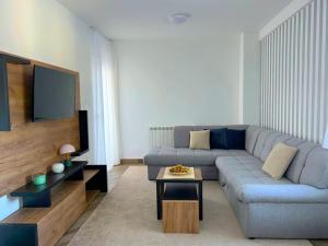 a living room with a couch and a tv at Apartments & rooms Concept Nordica in Žabljak