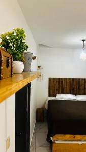 a bedroom with a bed and a table with a plant at Baru chachalacas in Chachalacas