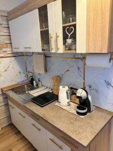 a kitchen with a counter top with a sink and a counter top at Ivory & Rose Studio in Tartu