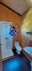 a bathroom with a toilet and a shower and a sink at Cabañas Entre Mañios y Coigües in Villa Santa Lucía