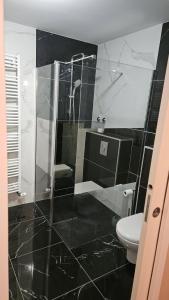 a bathroom with a glass shower and a toilet at le logis des Chabannes in Saint-Angel