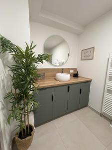 a bathroom with a sink and a mirror and a plant at Ecrin de nacre Appartement de Standing in Courseulles-sur-Mer +29 photos