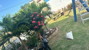 a statue of a monkey next to a bush with flowers at Temporada Monte gordo in Camacari