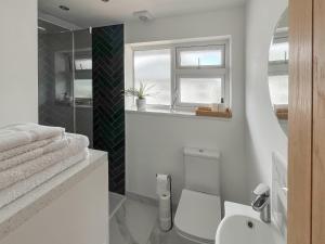 a bathroom with a toilet and a sink and a window at Thirslet in Maldon