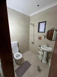 ein Badezimmer mit Toilette und Waschbecken in der Unterkunft panorama villa boutique HT in Jericho + 25 Fotos