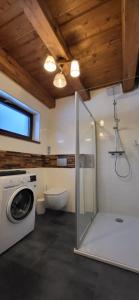 a bathroom with a washing machine and a toilet at Chata Krpko in Horná Lehota +40 photos
