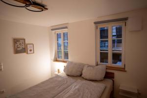 ein Schlafzimmer mit einem Bett und zwei Fenstern in der Unterkunft Concordia33 - Traumferienwohnung an der Regnitz in Bamberg