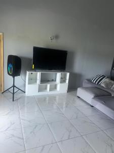 a living room with a flat screen tv and a chair at Hector residence in Saint Johnʼs