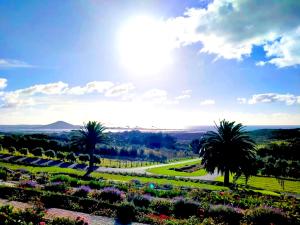 a view of a park with palm trees and flowers at Seascape Peninsula Bach in Kaitaia +44 photos