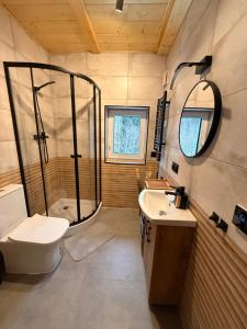 a bathroom with a shower and a toilet and a sink at Domek pod Głazami in Ostre