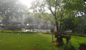 a fire hydrant in a park in the rain at Llano grande rivera in Rivera +1 photo