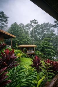 a view of a garden with a gazebo at Chato Arenal Lodge in Fortuna