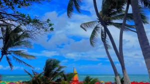 a view of the ocean from the beach with palm trees at Sol, mar, equilíbrio perfeito praia do frances! in Marechal Deodoro