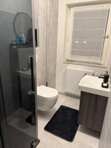 a bathroom with a toilet and a sink and a shower at Sofia2 in Urschmitt