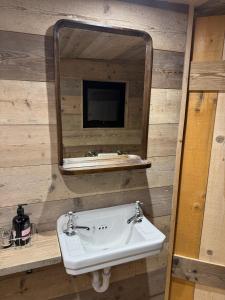 a bathroom with a sink and a mirror at The Goose In The Woods - With Lakeside Sauna in Wellesbourne Hastings
