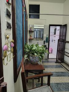a plant sitting on a table in a hallway at The Rest Nest in Gorakhpur