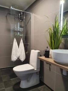 a bathroom with a toilet and a sink at Varangertunet Wilderness resort in Jakobselv +136 photos