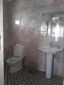 a bathroom with a toilet and a sink at Maia's Cottage in Bakuriani