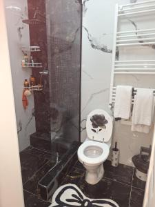 a bathroom with a toilet and a shower at Apartment Zona 0 Tulcea in Tulcea +29 photos