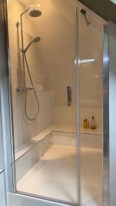 a shower with a glass door in a bathroom at Pasteur Numéro 5 in Dijon +18 photos