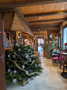 a christmas tree in the middle of a room at Hotel Le Concorde in Morzine +95 photos