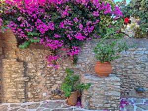 a stone wall with flowers in pots on it at Symi Village House in Symi
