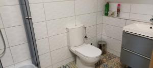a bathroom with a toilet and a sink at ELEKTRa in Stare Bielice