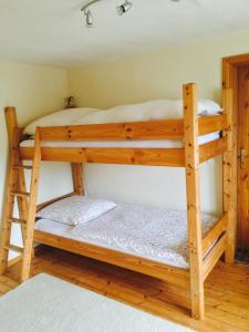 a couple of bunk beds in a room at Ferienwohnung Schlössershof in Borler +24 photos