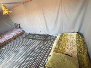 a bed in a tent in a room at Bivouac Porte du Désert in Mhamid