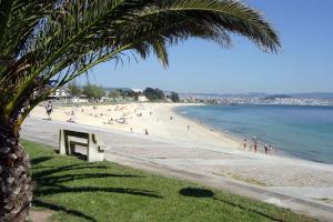 a beach with a palm tree and people on it at Piso Centro y Playa in Cangas de Morrazo