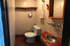 a bathroom with a toilet and a sink at Cabaña Tío Ale MONOAMBIENTES in El Bolsón