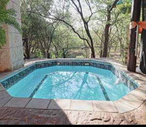 a swimming pool in the middle of a yard at Kruger Tree Lodge in Marloth Park +11 photos