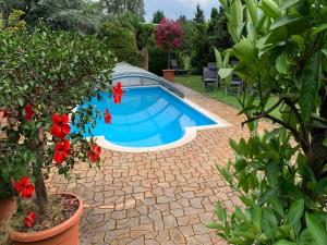 a swimming pool in a garden with red flowers at Familienurlaub mit Pool, Mittelndorf in Mittelndorf