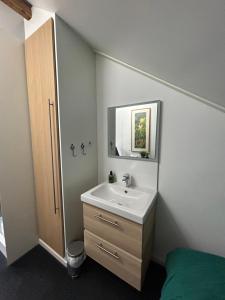 a bathroom with a sink and a mirror at Huisje Vivaldi in Den Bosch +4 photos