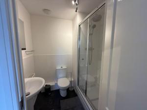a bathroom with a shower and a toilet and a sink at Modern flat in Abbey Wood in Abbey Wood +7 photos